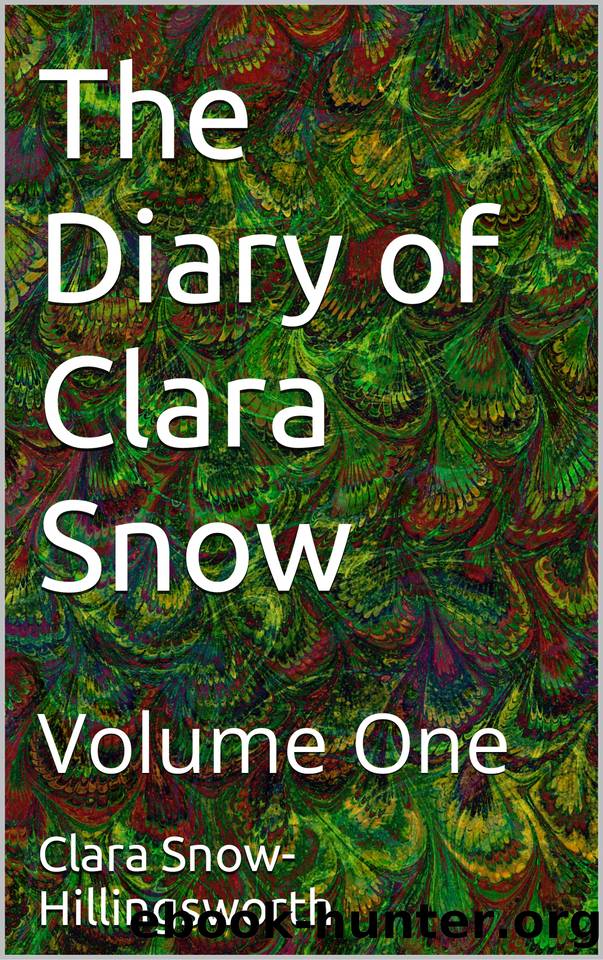 The Diary of Clara Snow: Volume One by Snow-Hillingsworth Clara