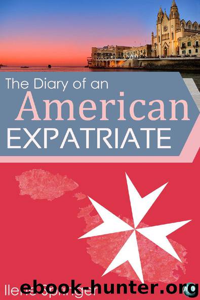 The Diary of an American Expatriate by Ilene Springer