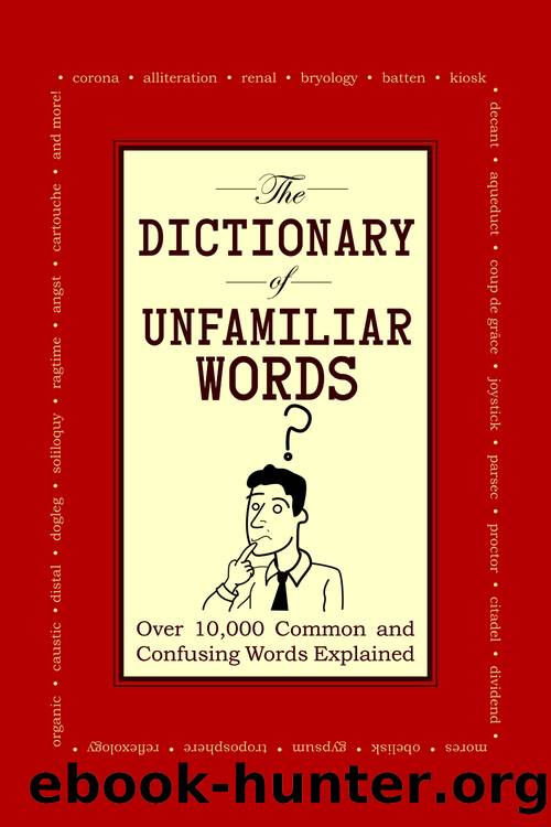 The Dictionary of Unfamiliar Words by Diagram Group