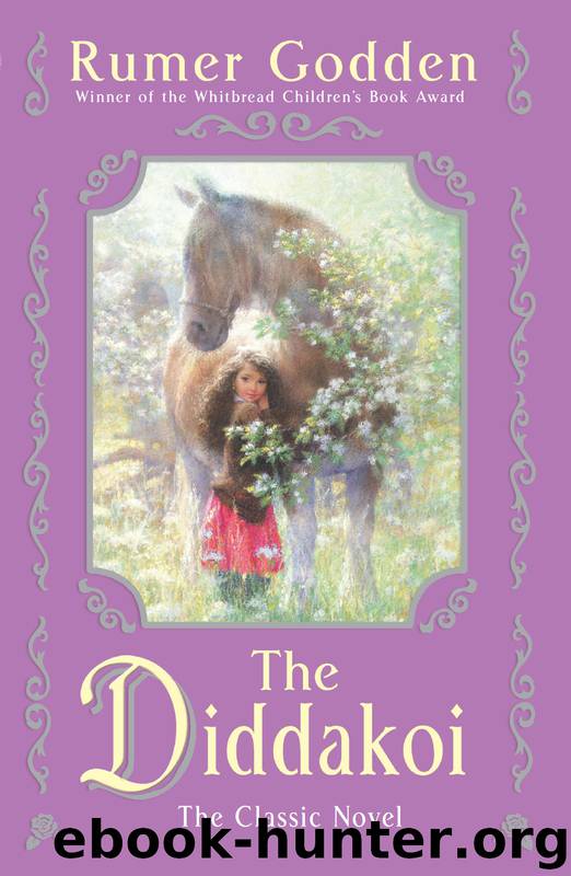 The Diddakoi by Rumer Godden