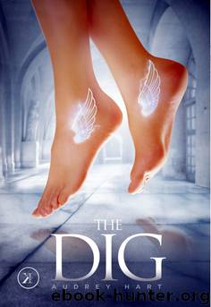 The Dig by Audrey Hart