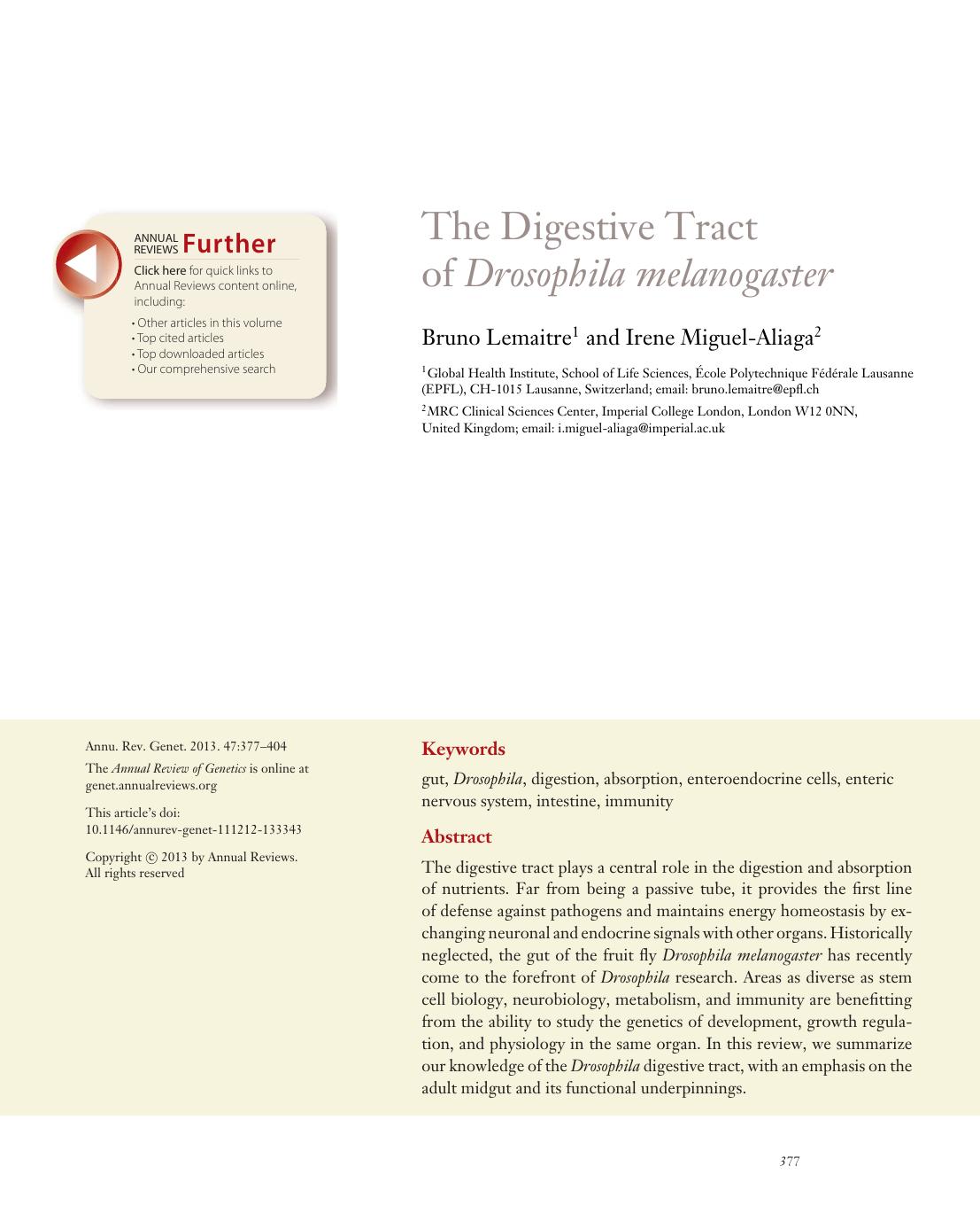 The Digestive Tract of Drosophila melanogaster by Bruno Lemaitre and Irene Miguel-Aliaga