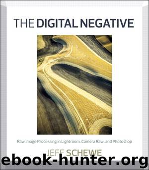 The Digital Negative: Raw Image Processing in Lightroom, Camera Raw, and Photoshop by Jeff Schewe