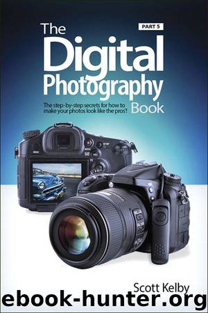 The Digital Photography Book, Part 5: Photo Recipes by Scott Kelby