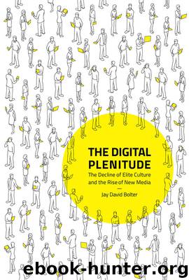 The Digital Plenitude by Jay David Bolter;