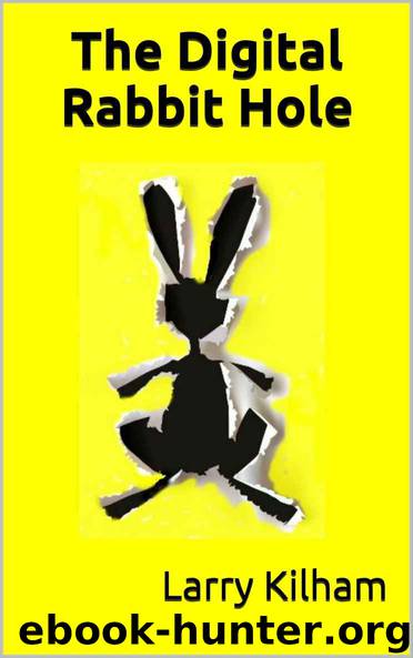 The Digital Rabbit Hole by Larry Kilham