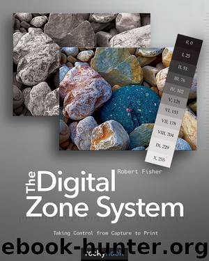 The Digital Zone System by Robert Fisher
