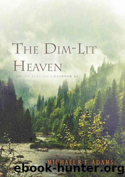 The Dim-Lit Heaven by Michael R.E. Adams