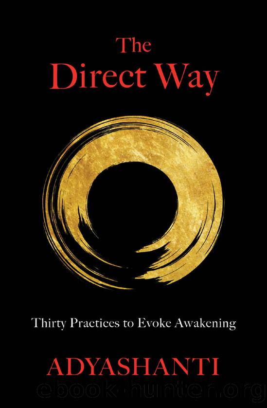 The Direct Way by Adyashanti