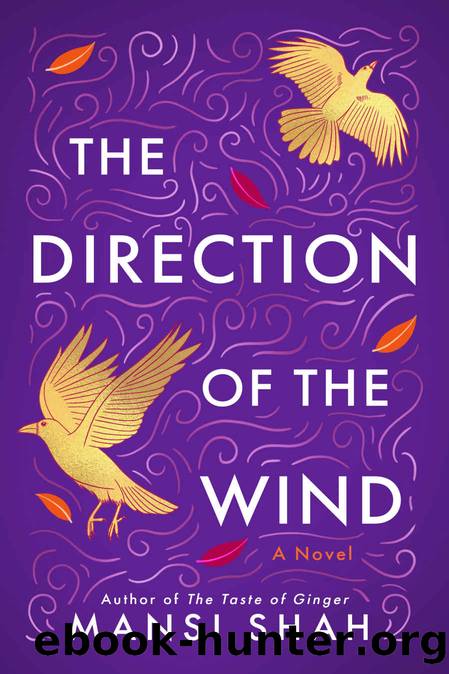 The Direction of the Wind by Mansi Shah