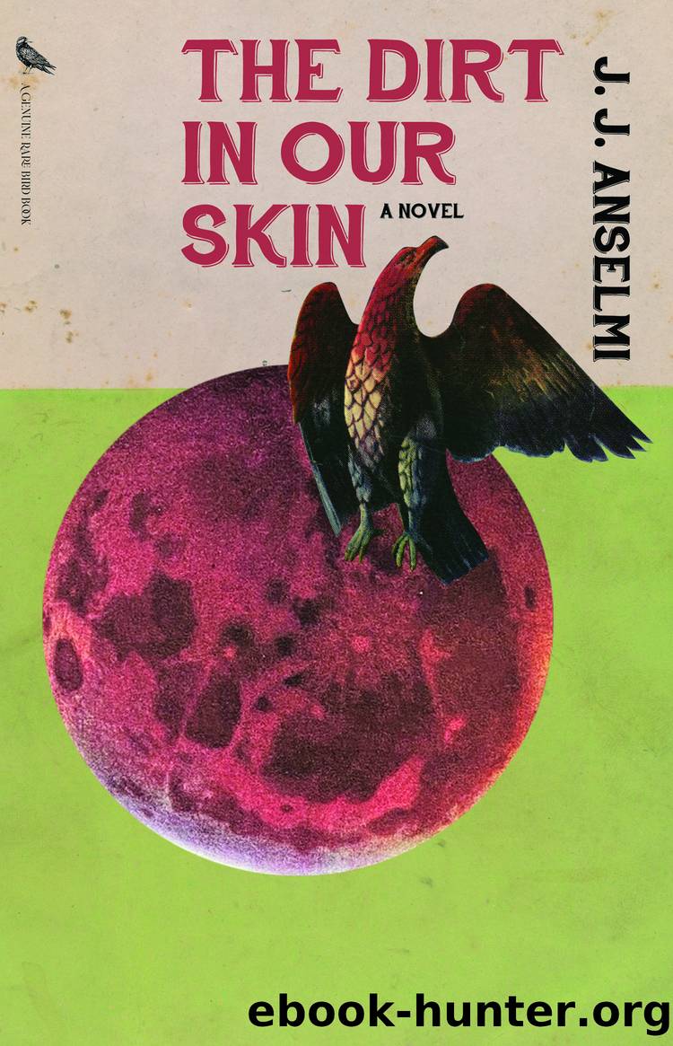 The Dirt in Our Skin by J. J. Anselmi