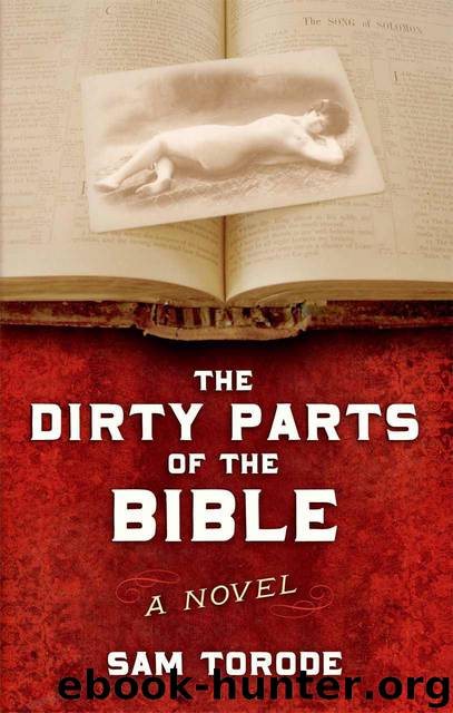 The Dirty Parts of the Bible -- a Novel by Sam Torode