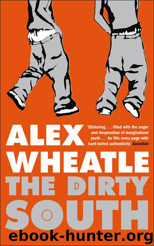 The Dirty South by Alex Wheatle