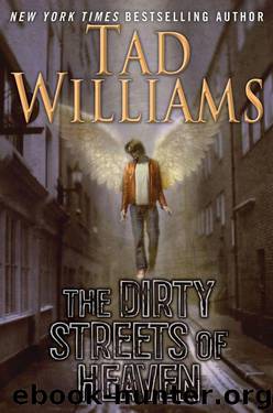 The Dirty Streets of Heaven: Volume One of Bobby Dollar