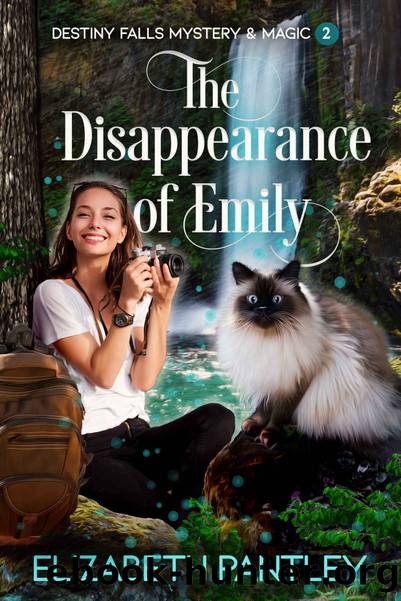The Disappearance of Emily: Destiny Falls Mystery & Magic Series Book 2 by Elizabeth Pantley
