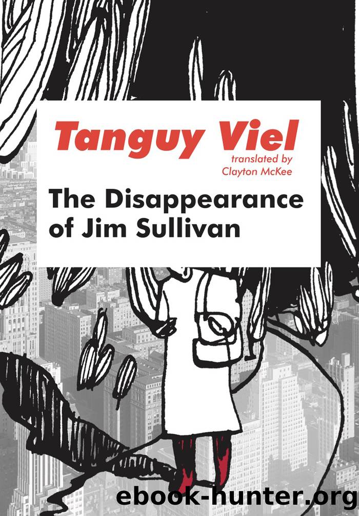 The Disappearance of Jim Sullivan by Tanguy Viel