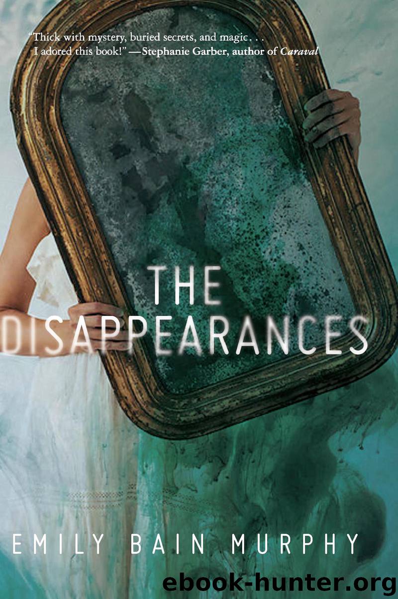 The Disappearances by Emily Bain Murphy