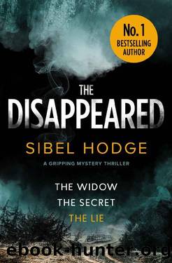 The Disappeared: a gripping mystery thriller by Sibel Hodge
