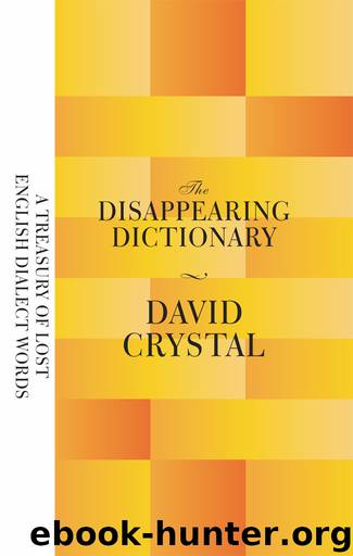 The Disappearing Dictionary by Crystal David