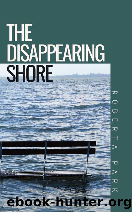The Disappearing Shore by Roberta Park