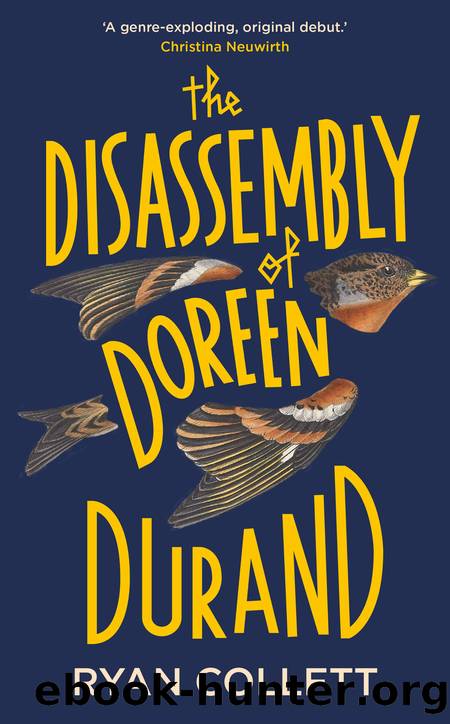 The Disassembly of Doreen Durand by Ryan Collett