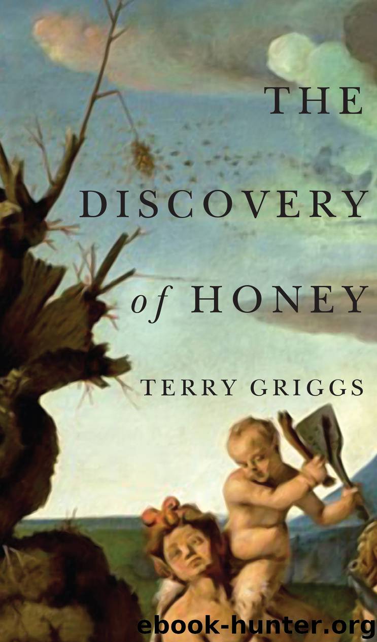 The Discovery of Honey by Terry Griggs