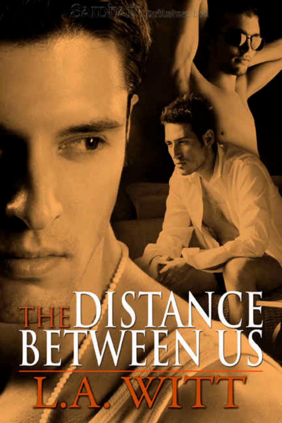 The Distance Between Us by L.A. Witt