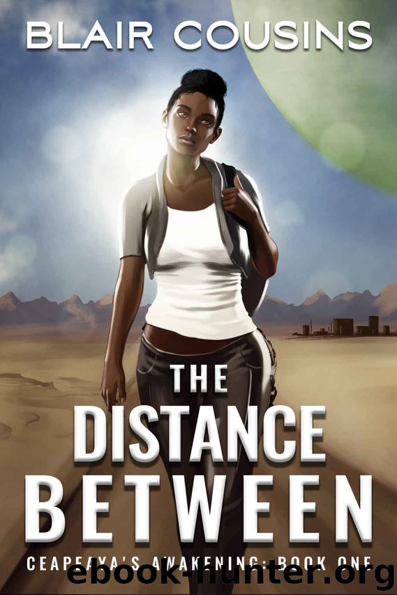 The Distance Between by Blair Cousins