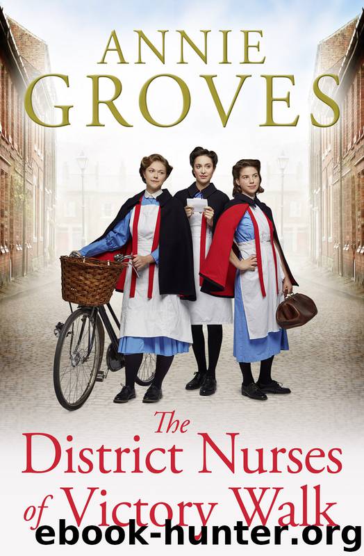 The District Nurse by Annie Groves