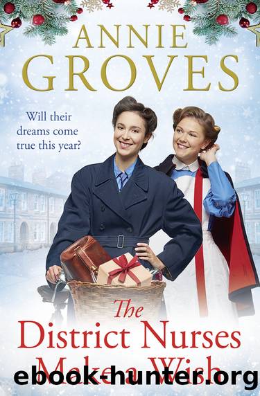 The District Nurses Make a Wish by Annie Groves