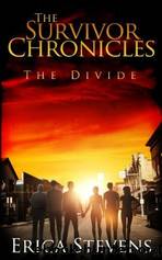 The Divide by Stevens Erica