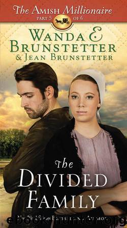 The Divided Family by Brunstetter Wanda E