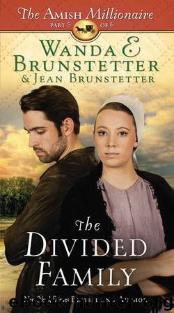 The Divided Family by Wanda E. Brunstetter