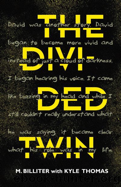 The Divided Twin by M. Billiter & Kyle Thomas