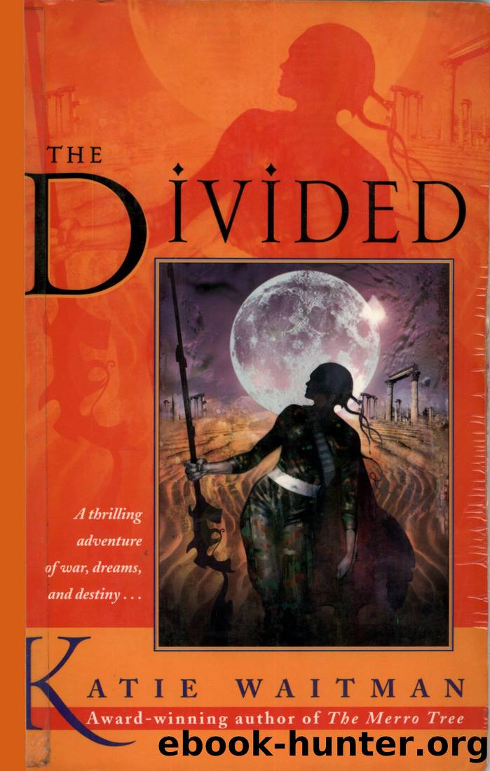 The Divided by Katie Waitman