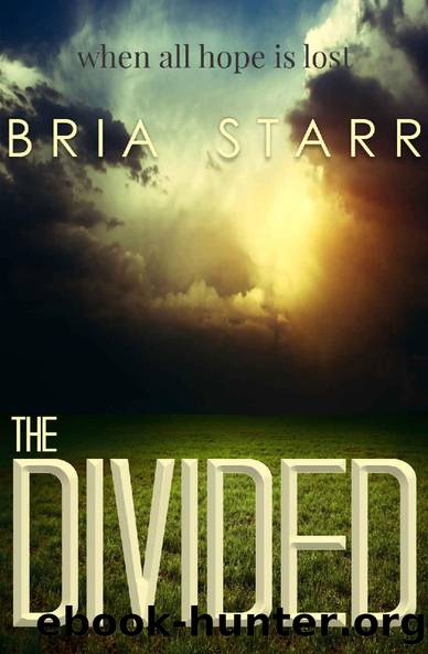 The Divided by Starr Bria