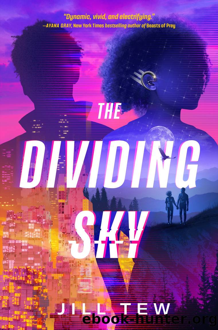 The Dividing Sky by Jill Tew