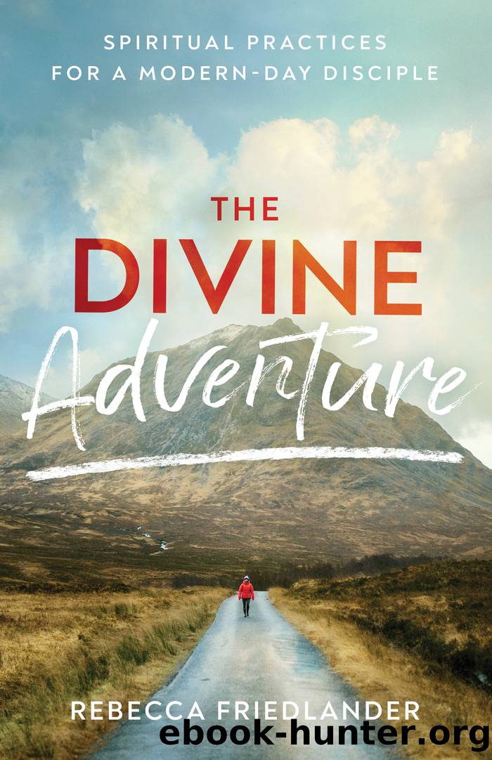 The Divine Adventure by Rebecca Friedlander