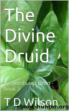 The Divine Druid: A Contributed Effort - book 3 by T D Wilson