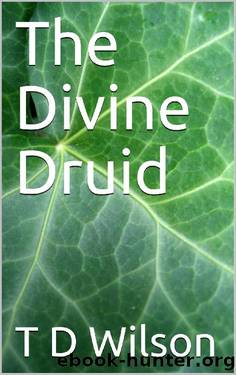 The Divine Druid: The Crossing by T D Wilson