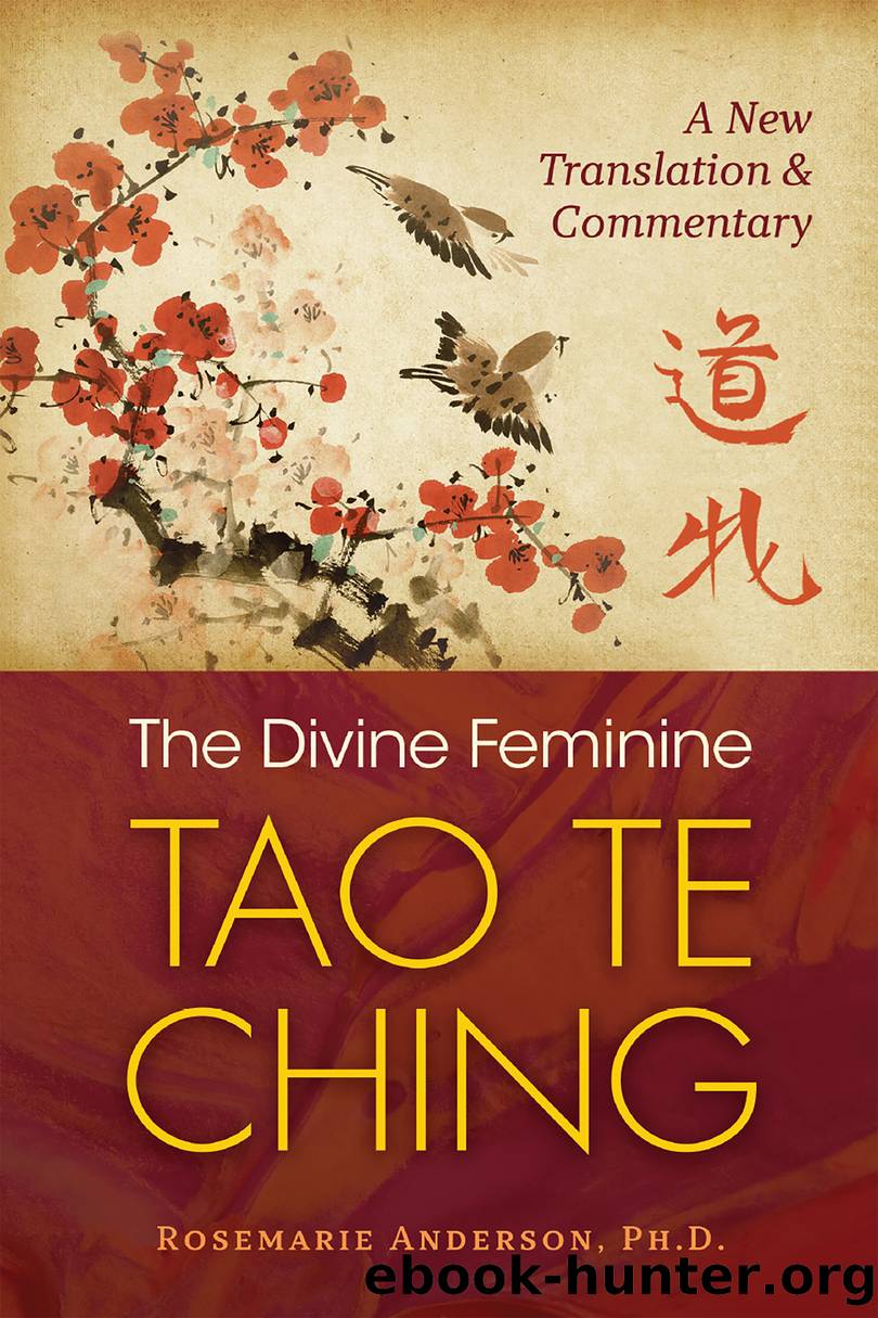 The Divine Feminine Tao Te Ching by Rosemarie Anderson