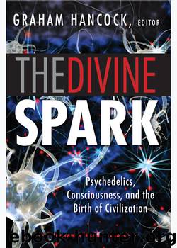 The Divine Spark: A Graham Hancock Reader by Graham Hancock