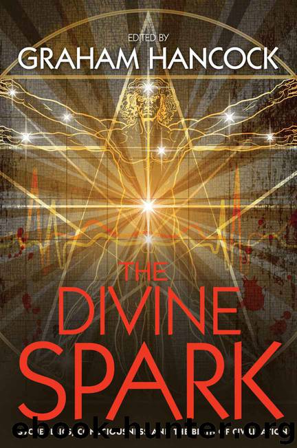 The Divine Spark: Psychedelics, Consciousness and the Birth of Civilization by Graham Hancock