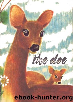 The Doe by Unknown