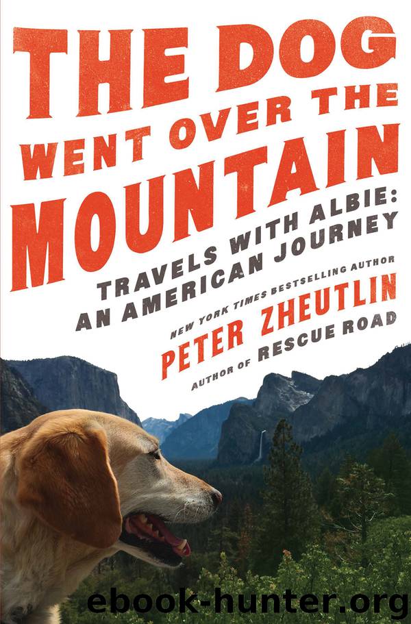 The Dog Went Over the Mountain by Peter Zheutlin
