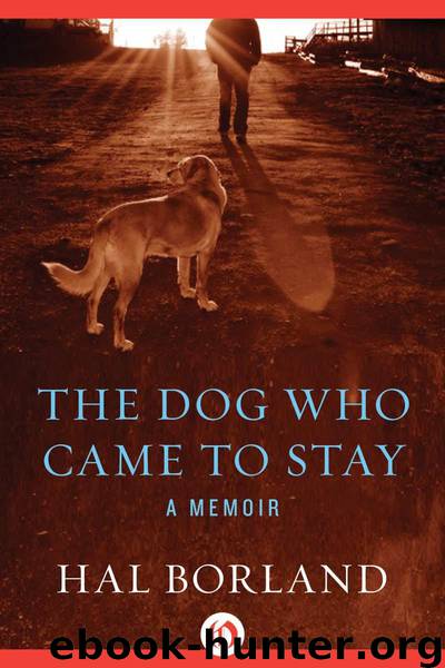 The Dog Who Came to Stay: A Memoir by Borland Hal