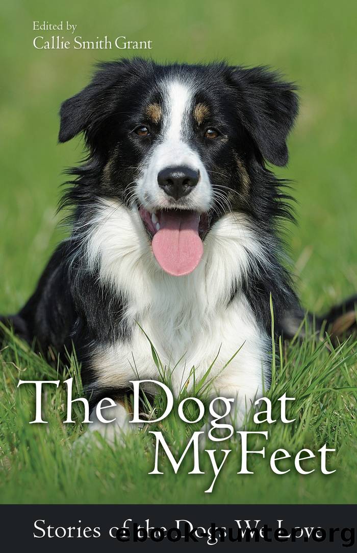 The Dog at My Feet by Callie Smith Grant & ed
