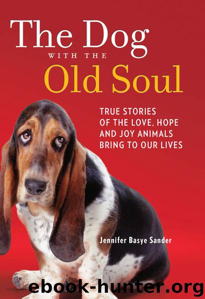 The Dog with the Old Soul by Jennifer Basye Sander