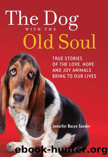 The Dog with the Old Soul: True Stories of the Love, Hope and Joy Animals Bring to Our Lives by Jennifer Basye Sander
