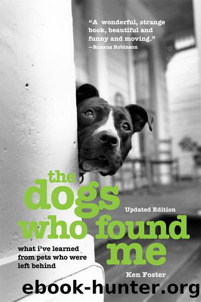 The Dogs Who Found Me by Ken Foster